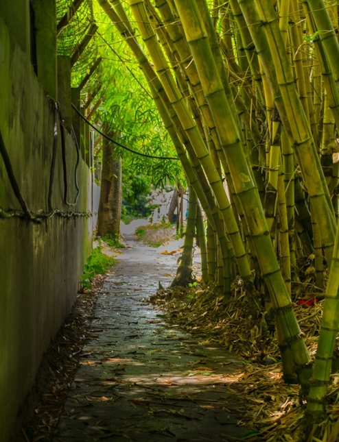 A PATH LESS TRAVELLED