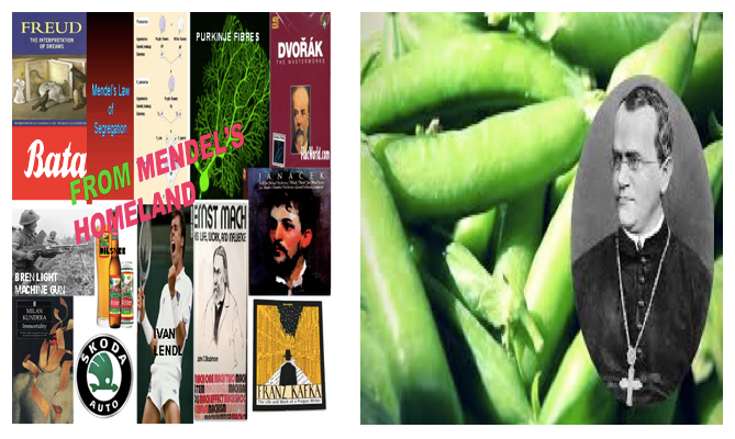 The Monk and the Pea